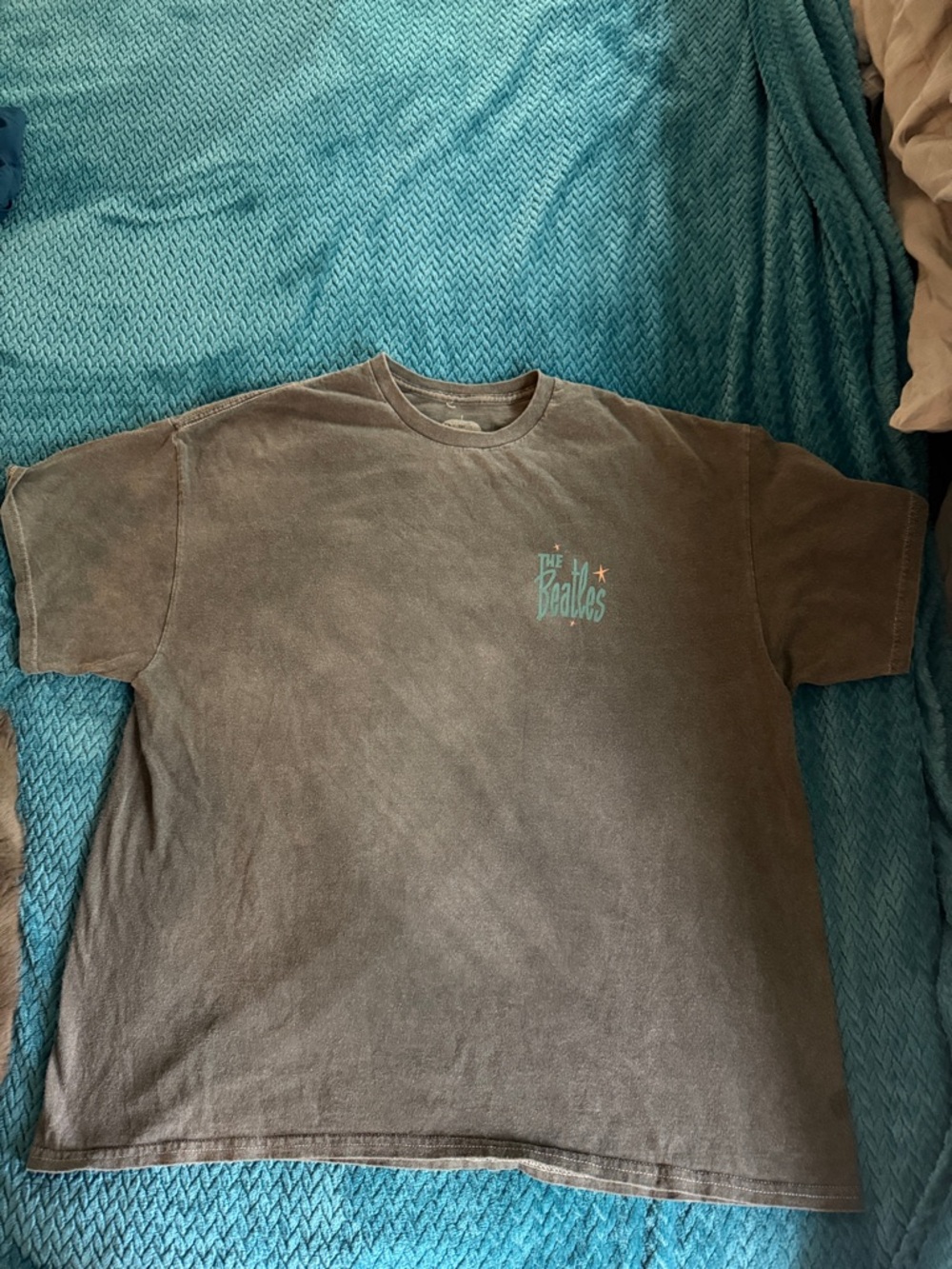 The Beatles Logo Graphic Tee - Washed Gray - Unbranded